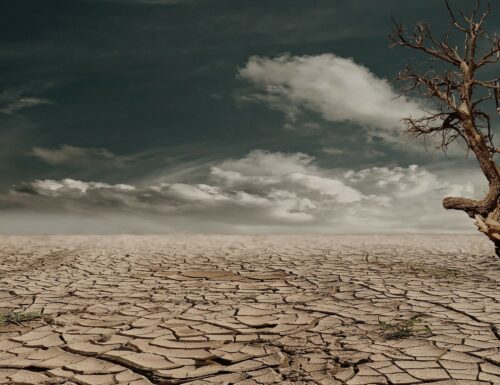 Allarme siccità: a cosa andiamo incontro?